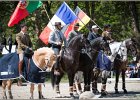 Pferd International 194